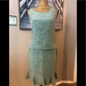 Beautiful Zebra Stripe Top & Skirt.